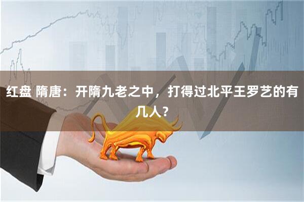 红盘 隋唐：开隋九老之中，打得过北平王罗艺的有几人？