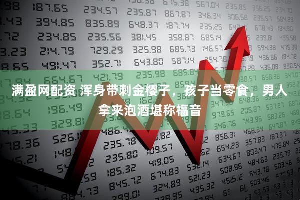 满盈网配资 浑身带刺金樱子，孩子当零食，男人拿来泡酒堪称福音