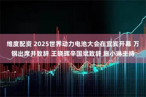 维度配资 2025世界动力电池大会在宜宾开幕 万钢出席并致辞 王晓晖辛国斌致辞 施小琳主持