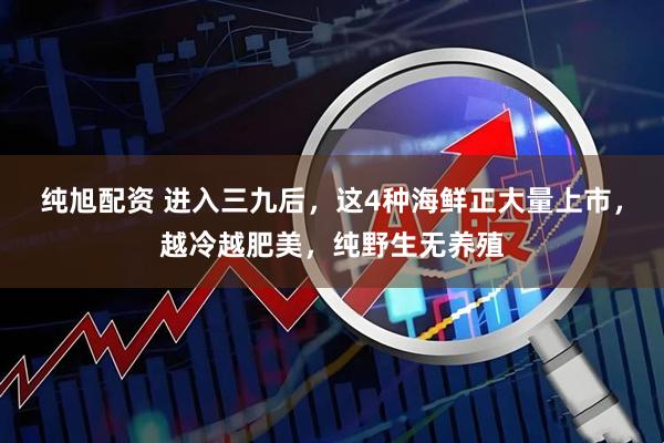纯旭配资 进入三九后，这4种海鲜正大量上市，越冷越肥美，纯野生无养殖